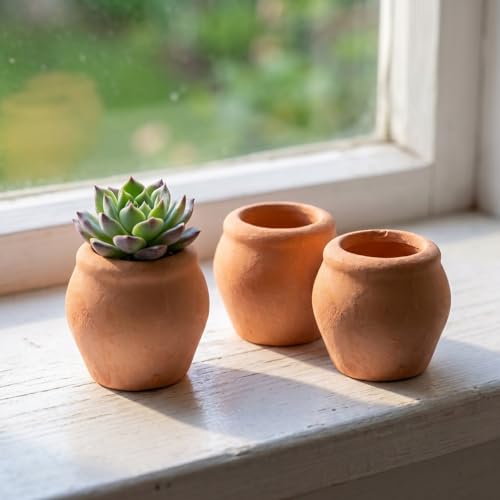 8Pcs Mini Ceramic Pot Clay Mini Water Pots for Bonsai Orange 0.9In