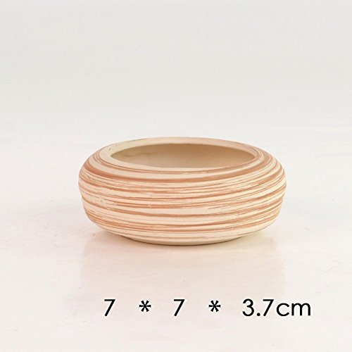 2.5-3" Succulent Pots, Ceramic Wood Pattern Cactus Planters Set, 6 Pack