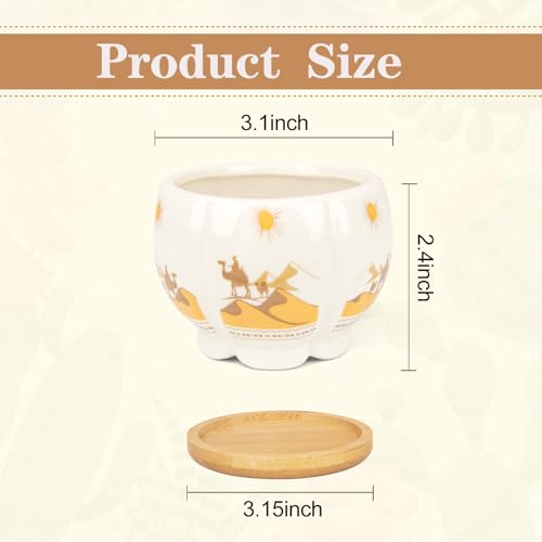 Succulent Pots - 3.1 Inch Small Plant Pots with Drainage Tray, Ceramic Flower Pots for Indoor Plants, 6 Pack Succulent Planters for Cactus Plants, Home Office Decor - color: Mid-e-petal