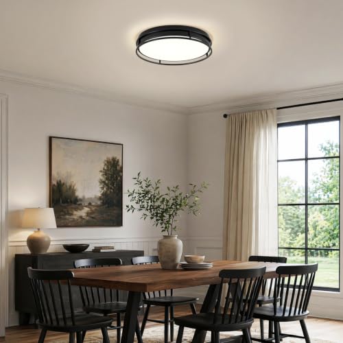 Modern Flush Mount Ceiling Light, Black Dimmable Ceiling Light Fixture - color: Black, size: 16.5in
