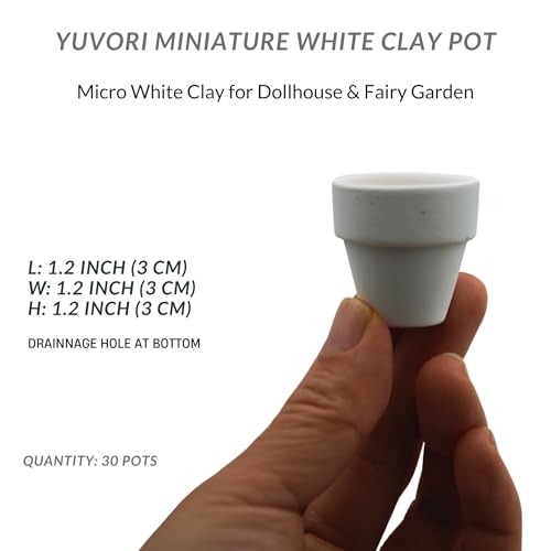 30-Pack Mini White Clay Pots – Small Ceramic Flower Pots for Succulents, Cactus, DIY Crafts, Fairy Garden, School Projects, Mini Planters, Set of 30 (White Clay, 1.2 Inch) - size: 1.2 Inch, style: White Clay