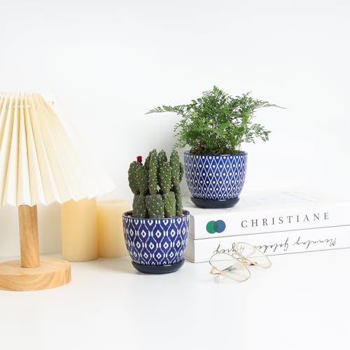 Selamica Ceramic Succulent Pots, 4.6 Inch Small Plant Pots with Drainage Holes & Saucers, Succulent Planters for Indoor Plants Cactus, Home Decor, Set of 6, Vintage Blue - color: Vintage Blue, size: 4.6 Inch, Set of 6