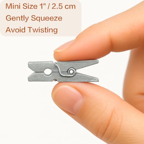 LWR CRAFTS Wooden Mini Clothespins 100 Per Pack 1" 2.5cm (Silver) - color: Silver