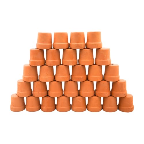 Mini Terracotta Pots – Small Clay Flower Pots for Succulents, Cactus, DIY Crafts, Fairy Garden, School Projects, Mini Planters, Set of 30 (Straight Cylinder, 1.2 Inch) - size: 1.2 Inch, style: Straight Cylinder