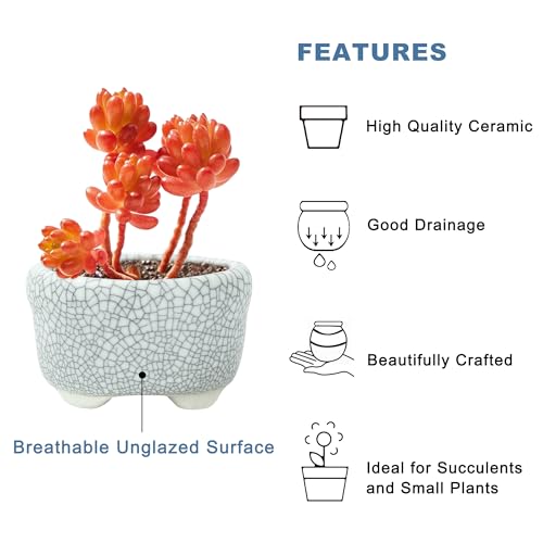 Bonsai Planter 1.8 inch (4.5cm) Mini Succulent Glazed Pots Set of 18 Gray White - color: Gray White