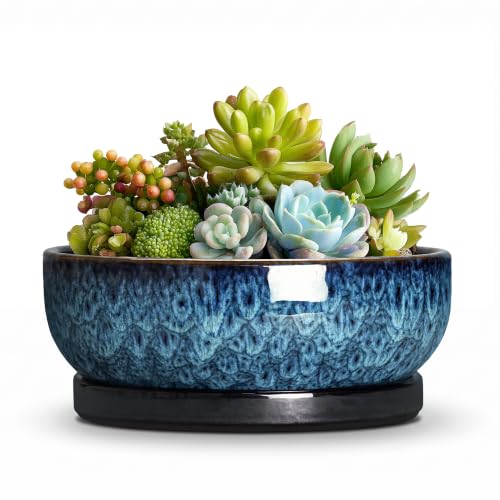 Succulent Pots, 6 Inch Ceramic Bonsai Pots with Saucer, Blue - color: Blue, size: 6 Inch