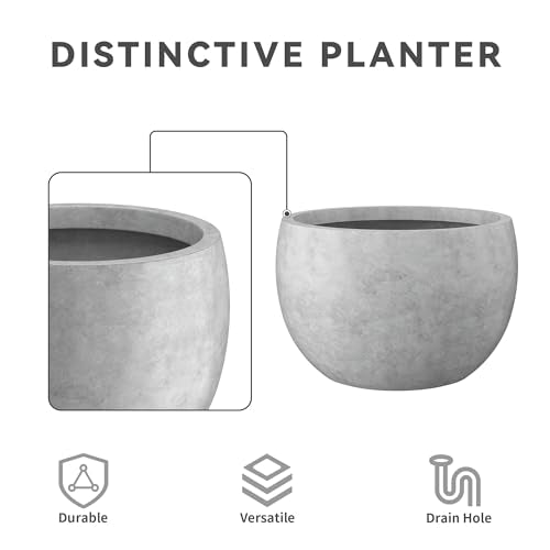 Kante Small Round Bowl Pale Gray Concrete Planter 11.8" Dia, Outdoor - color: Natural Concrete, size: 11.8" d