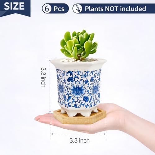 Succulent Pots, Small Ceramic Pots for Plants Set of 6, 3.3" Succulent Planters with Drainage & Saucers, Mini Plant Pots for Indoor Plants, Cactus, Small Flower Pots for Home Office - color: Blue-porcelain-hexagon-tall