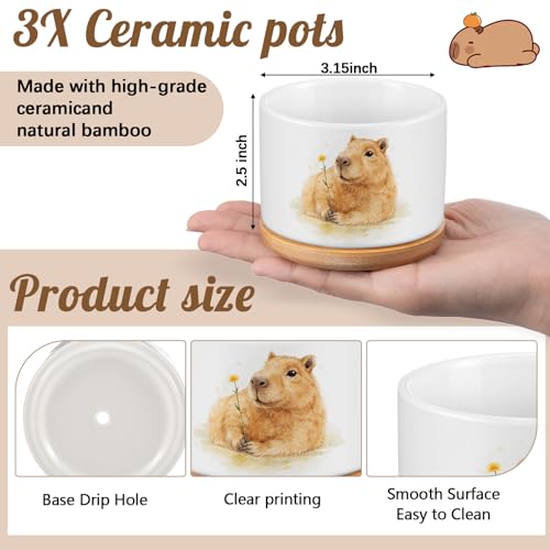 Jingmore 3 Pcs Capybara Decor Succulent Planter, Ceramic Gift for Women - style: Capybara