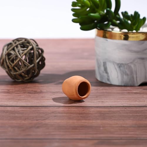 ONEST 12 Pieces Miniature Tiny Clay Pots Mini Flower Pottery Planter for DIY Garden Plants Office Home Decoration - color: 12 Pieces