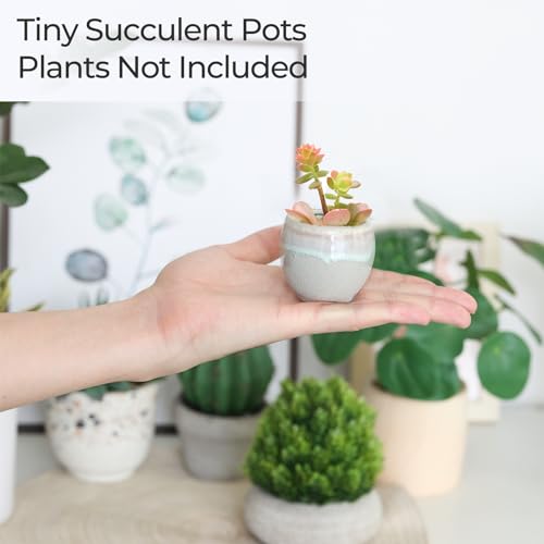 T4U Mini Ceramic Succulent Pots, Small Gift Planters, Retro Decor Set of 6 - color: Flowing Glazed, size: Pack of 6