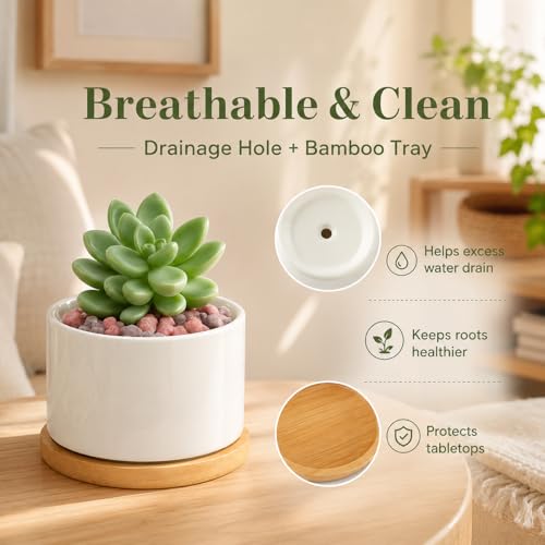 ZOUTOG 4 Pack 3.1" Ceramic Succulent Pots,White Planter with Drainage Tray - size: 4 Pack 3.1"