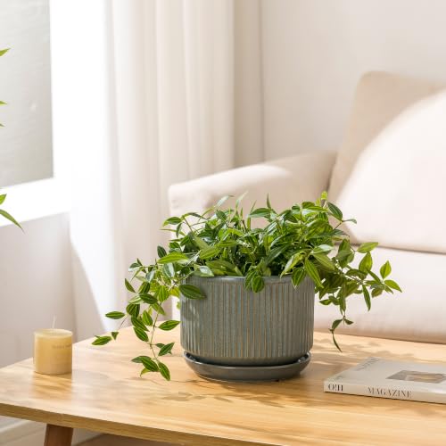 SURE YUESI Ceramic Plant Pots Set of 3, Indoor Outdoor Planters with Drainage Hole and Saucer, Ceramic Flower Pots for Indoor Plants, 4.3+5.5+6.8 Inch, Home, Garden, Patio and Office, Matte Green - color: Matt Green