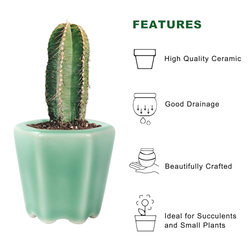 Bonsai Planter Succulent 4pc 2.4-2.8" (6-7cm) Mini Green Pots - color: Green 4pc