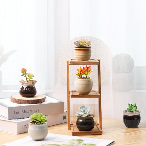 T4U Mini Ceramic Succulent Pots, Small Gift Planters, Retro Decor Set of 12 - color: Flowing Glazed, size: Pack of 12