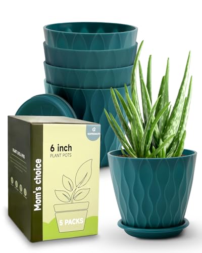 6 Inch Indoor Planter Pots with Drainage Hole and Tray Saucer,Flower Pots for Indoor Outdoor Garden Plants and Flowers, Multicolor, 5 Packs (Blue)