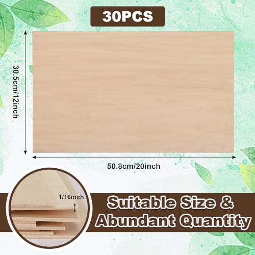 Sasylvia 30 Pcs 12 x 20 x 1/16 Inch Basswood Sheets for Crafts Plywood