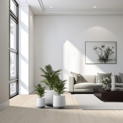 Kante Set of 3 White Concrete Curved Planters 16.5" 13" 9.4" Dia - color: Pure White, size: Set of 3: 15.3" + 11.6" + 8.2" D