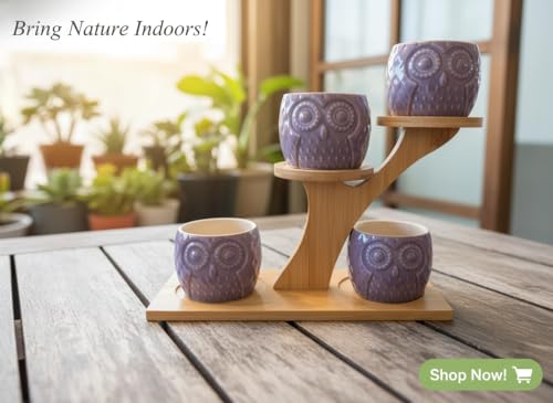 Blisse Wood Owl Planter Set for Home Décor - Purple Ceramic Owl Pots with Wooden Stand, Cute Indoor Succulent & Tabletop Planters for Shelves, Windowsills & Gifts - color: Purple