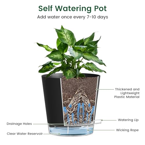 Meowell 6 inch Self Watering Pots for Indoor Outdoor Plants, 3 Pack Flower Plant Pots with Drainage Holes and Clear Reservoirs, Visible Water Level, Plastic Planters with Wicking Rope, Black - color: Black, size: 6in 3pcs