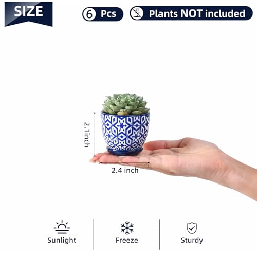 Selamica Ceramic 2.4 Inch Succulent Pots, Mini Succulent Planter Pot for Cactus Plant with Drainage Holes & Saucers, Home Decor, Set of 6, Vintage Blue - color: Vintage Blue, size: 2.4 Inch, Set of 6