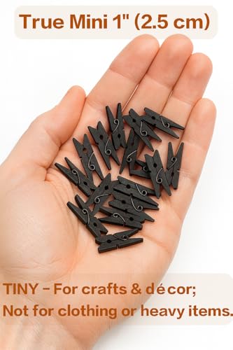 LWR CRAFTS Wooden Mini Clothespins 100 Per Pack 1" 2.5cm (Black) - color: Black