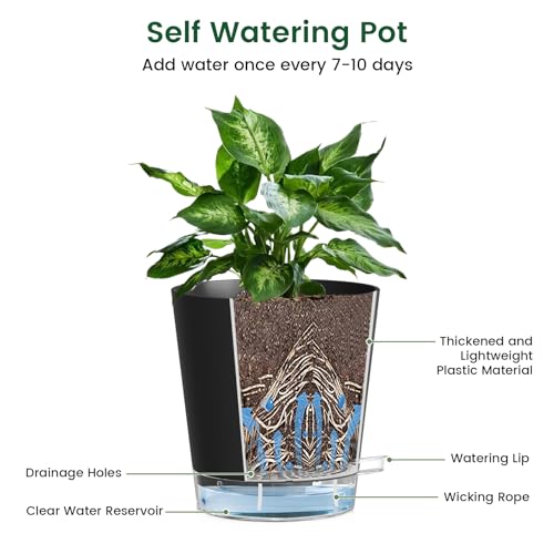 Meowell 4 inch Self Watering Pots for Indoor Plants, 5 Pack Small Flower Plant Pots with Drainage Holes and Clear Reservoirs, Visible Water Level, Plastic Planters with Wicking Rope, Black - color: Black, size: 4in 5pcs