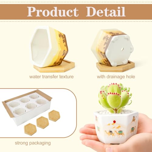 Succulent Pots, 6 Pack Floral Plant Pots with Drainage Tray, 3.7" Small Flower Pots for Indoor Plants, Ceramic Succulent Planters for Cactus, Home Office Decor - color: Mid-e-hexagon-short