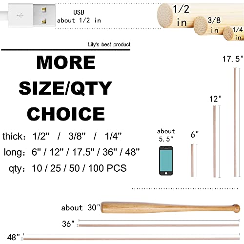 HOPELF 100PCS Dowel Rods - 1/2 x 12 Inch Bamboo Sticks - for Crafts, Hardwood Dowel Assortment - size: 1/2" x 12"