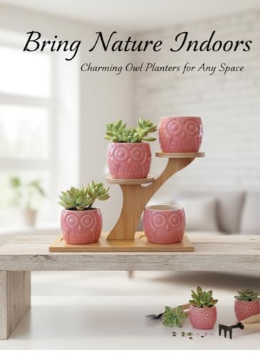 Blisse Wood Owl Planter Set for Home Décor - Pink Ceramic Owl Pots with Wooden Stand, Cute Indoor Succulent & Tabletop Planters for Shelves, Windowsills & Gifts - color: Pink