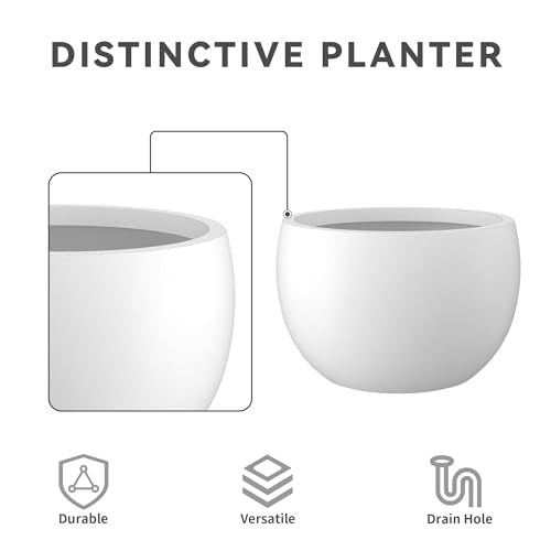 Kante Large Round Bowl White Concrete Planter 20" Dia, Outdoor - color: Pure White, size: 19.9" d