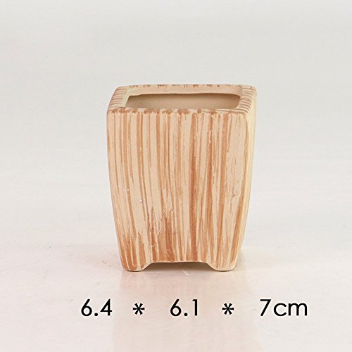 2.5-3" Succulent Pots, Ceramic Wood Pattern Cactus Planters Set, 6 Pack