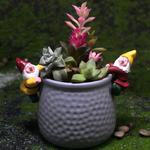 Mini Resin Gnome Figurines for Decor, Cute Climbing Garden Gnomes for Flower Pots, Planters, Fish Tank, Pencil Holder Edge Hanging, Desk, Shelf, Funny Small Ornament Gift (Set of 2) - style: Climbing Gnomes