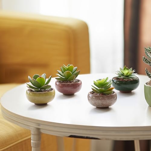 T4U Mini Succulent Pots, Small Shallow Ceramic Pots, Retro Gift Set of 12 - size: Small