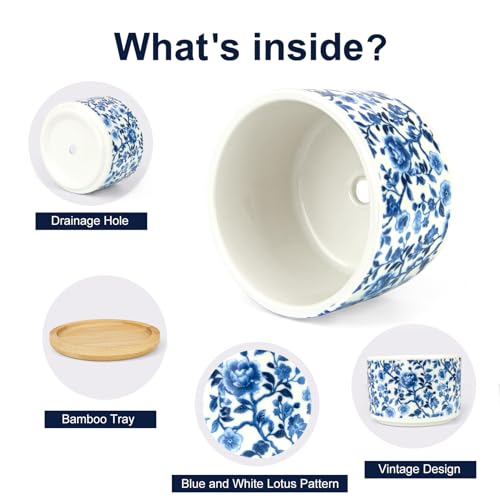 Succulent Pots, 6PCS Small Pots for Plants with Drainage & Saucers, 3.1 Inch Ceramic Flower Planters for Indoor Plants, Decorative Planters for Succulent Cactus, Home, Office, Desk - color: Blue-porcelain-round