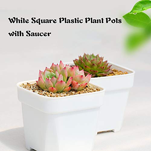 24 Pack 3 Inch White Square Plastic Plant Pots with Saucers,Nursery Seedling Pots with Drainage Hole,Small Planter Containers for Succulents,Flowers,Indoor Outdoor Garden,Home Office Balcony Decor - size: 24 Pack White