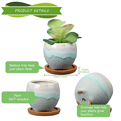 BBTO 6 Set Mini Succulent Pots with Drainage and Bamboo Tray 2.9 x 3.1in