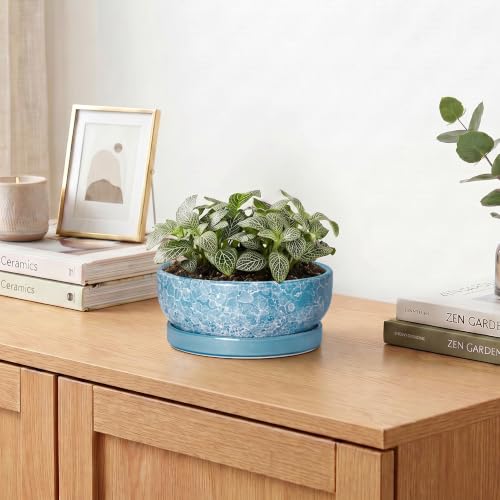 Bonsai Tree Pots 6 Inch, Ceramic Succulent Planters, Droplet Blue - color: Droplet Blue, size: 6 Inch