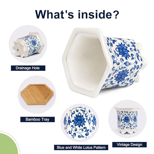 Succulent Pots, Small Ceramic Pots for Plants Set of 6, 3.3" Succulent Planters with Drainage & Saucers, Mini Plant Pots for Indoor Plants, Cactus, Small Flower Pots for Home Office - color: Blue-porcelain-hexagon-tall