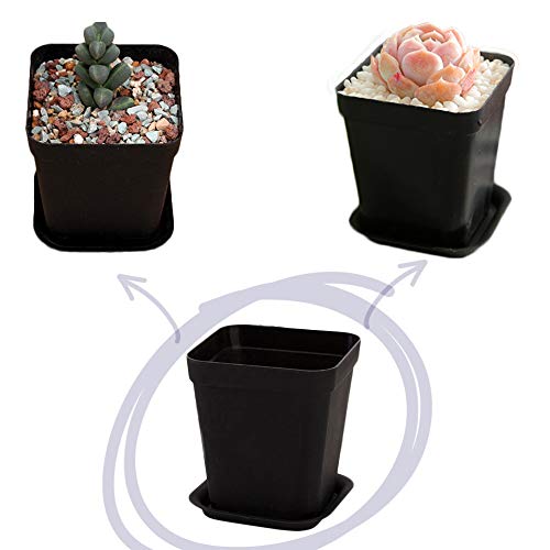 OJYUDD 24 Pack 3 Inch Black Nursery Pot Flower Pots Square Plastic Plant Pot Plastic Starter Pots with Saucer Basket Indoor Outdoor for Your Room,Garden Office and Balcony Decor - size: 24 Pack Black