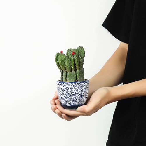 Selamica Ceramic Succulent Pots with Drainage Holes, Small Flower Pots 3.5 Inch Plant Pots for Indoor Plants with Saucers, Cactus Succulent, Home Decor, Set of 4, Vintage Blue - color: Vintage Blue, size: 3.5 Inch, Set of 4