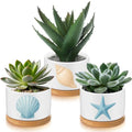 Jingmore 3 Pcs Ocean Theme Succulent Planter, Ceramic Gift for Women - style: Ocean