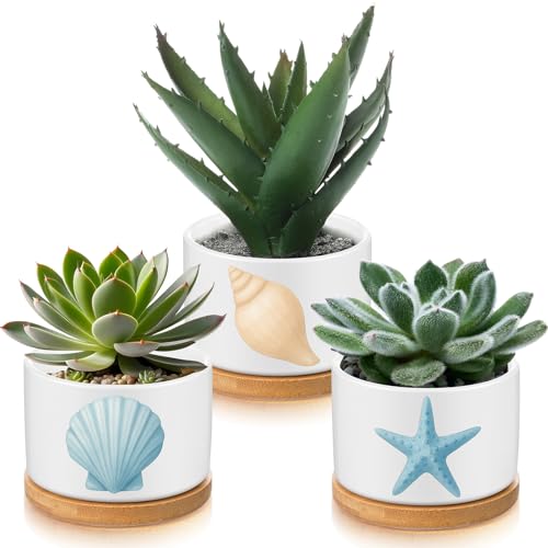 Jingmore 3 Pcs Ocean Theme Succulent Planter, Ceramic Gift for Women - style: Ocean