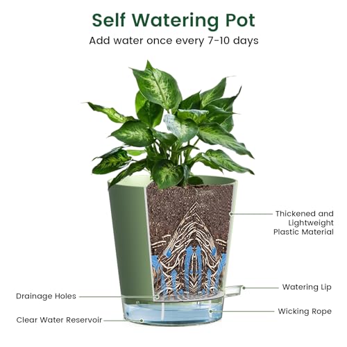 Meowell 4 inch Self Watering Pots for Indoor Plants, 5 Pack Small Flower Plant Pots with Drainage Holes and Clear Reservoirs, Visible Water Level, Plastic Planters with Wicking Rope, Green - color: Green, size: 4in 5pcs