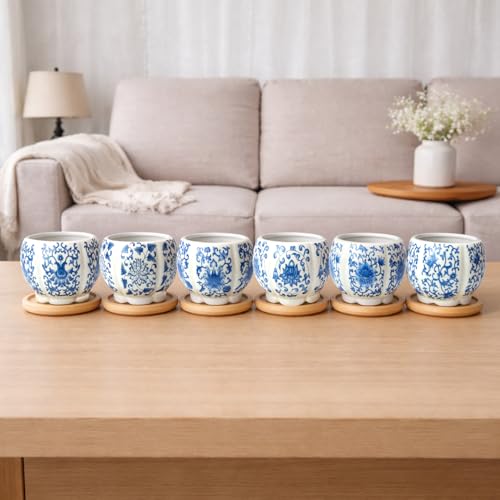 3.1 Inch Flower Pots Succulent Pots with Drainage Bamboo Tray Set of 6 - color: Blue-porcelain-hexagon-petal