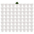 Yishang 1.9 Inch Tiny White Terracotta Pots Pack of 72-Small Mini White Clay Pots with Drainage Holes Flower Nursery Terra Cotta Planter for Tiny Cactus,Herb,Succulent Plants,Crafts - color: White