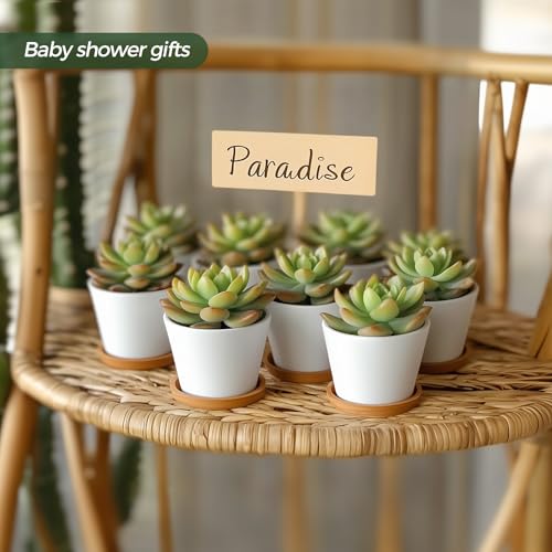 T4U Small Succulent Pots 12 Pack, Mini Flower Planters with Drainage White - color: Round