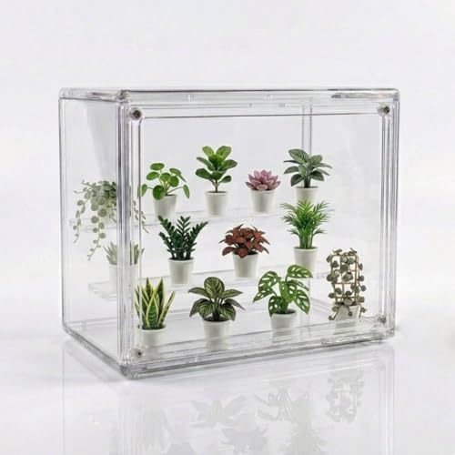 Mini Greenhouse Indoor, Clear Small Green House with Magnetic Door, Stackable Succulent Seed Starting Kit Children Nature Observation Station - size: 10.6"x 7"x 8"