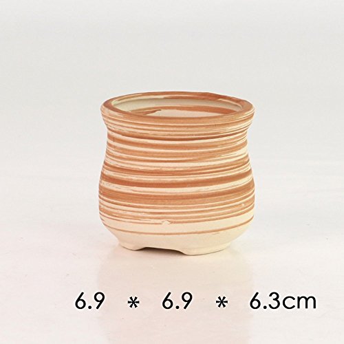 2.5-3" Succulent Pots, Ceramic Wood Pattern Cactus Planters Set, 6 Pack