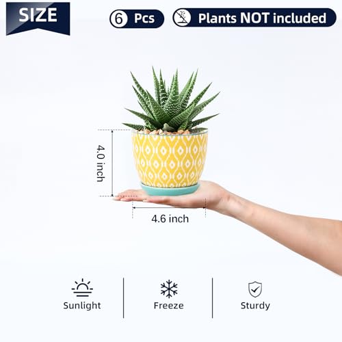 Selamica Ceramic Succulent Pots, 4.6 Inch Small Plant Pots with Drainage Holes & Saucers, Succulent Planters for Indoor Plants Cactus, Home Decor, Set of 6, Assorted Colors - color: Assorted Colors, size: 4.6 Inch, Set of 6